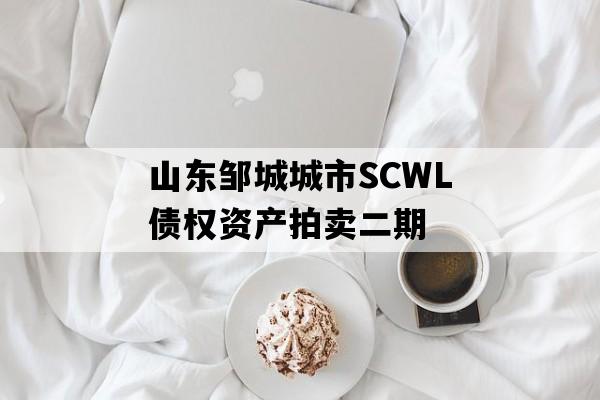 山东邹城城市SCWL债权资产拍卖二期