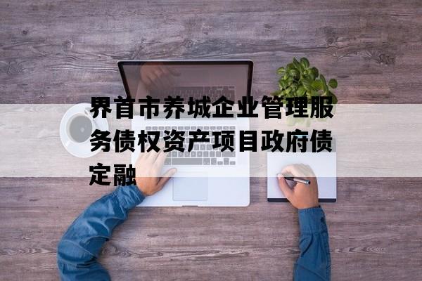 界首市养城企业管理服务债权资产项目政府债定融
