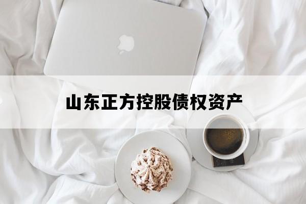 山东正方控股债权资产