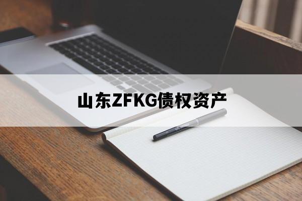 山东ZFKG债权资产