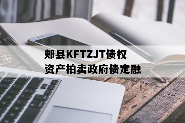 郏县KFTZJT债权资产拍卖政府债定融