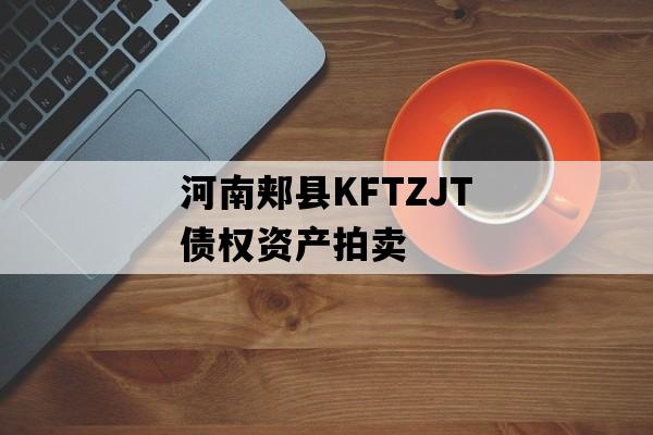 河南郏县KFTZJT债权资产拍卖