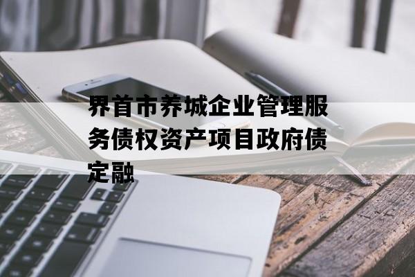 界首市养城企业管理服务债权资产项目政府债定融
