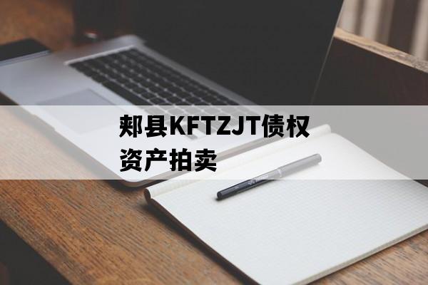 郏县KFTZJT债权资产拍卖