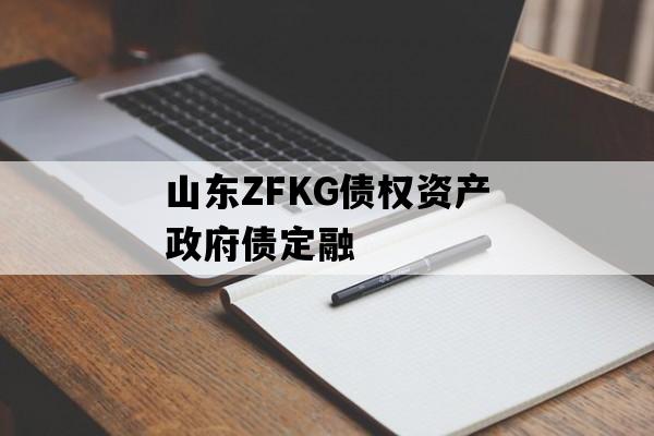山东ZFKG债权资产政府债定融