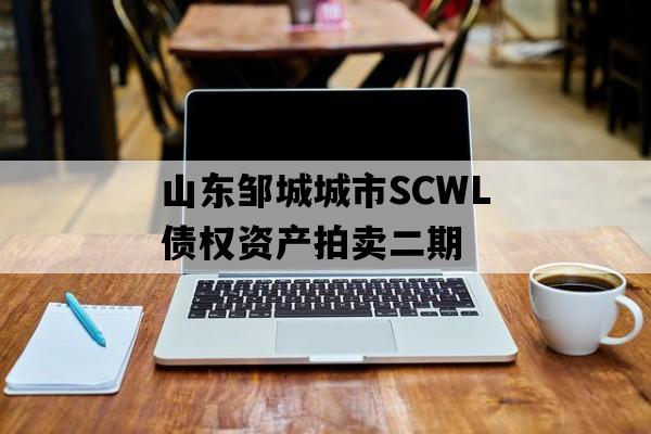 山东邹城城市SCWL债权资产拍卖二期