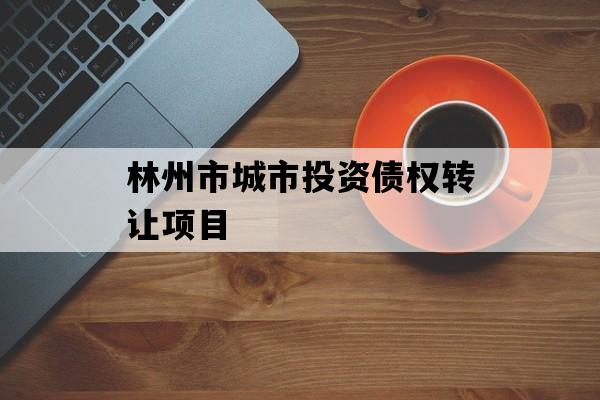 林州市城市投资债权转让项目