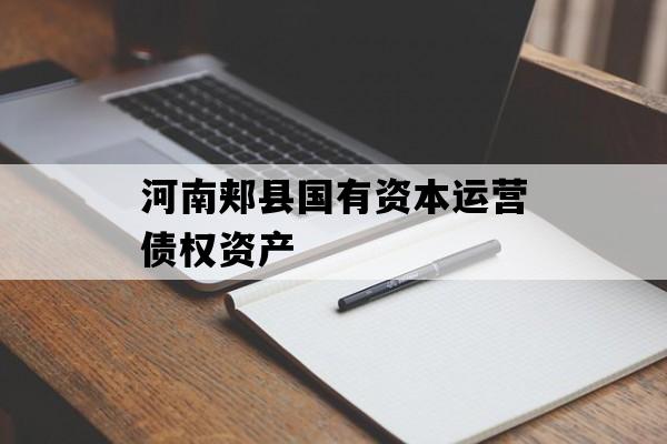 河南郏县国有资本运营债权资产