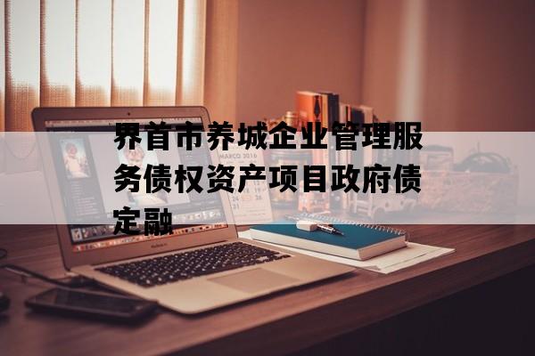 界首市养城企业管理服务债权资产项目政府债定融