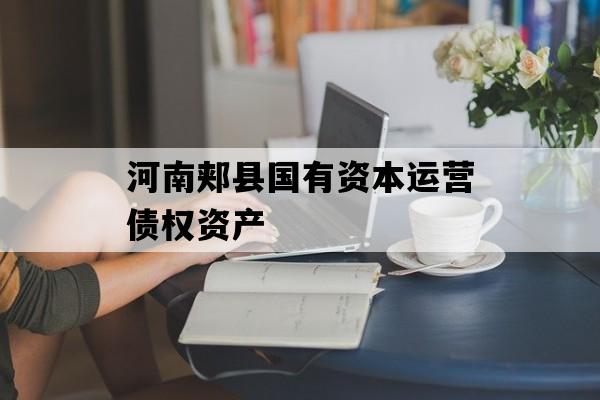 河南郏县国有资本运营债权资产