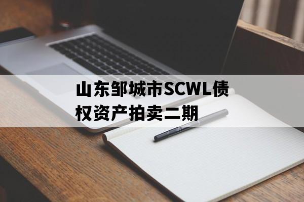 山东邹城市SCWL债权资产拍卖二期