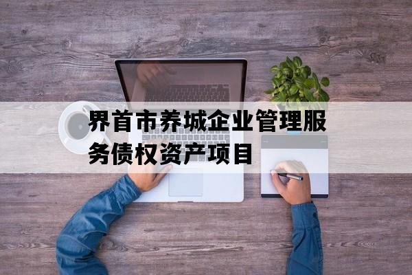 界首市养城企业管理服务债权资产项目