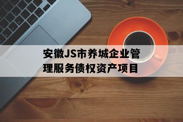 安徽JS市养城企业管理服务债权资产项目