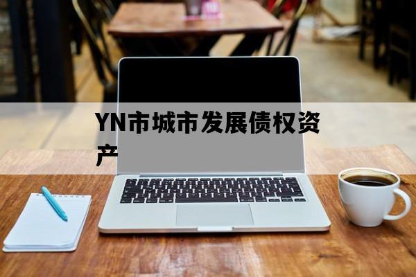 YN市城市发展债权资产