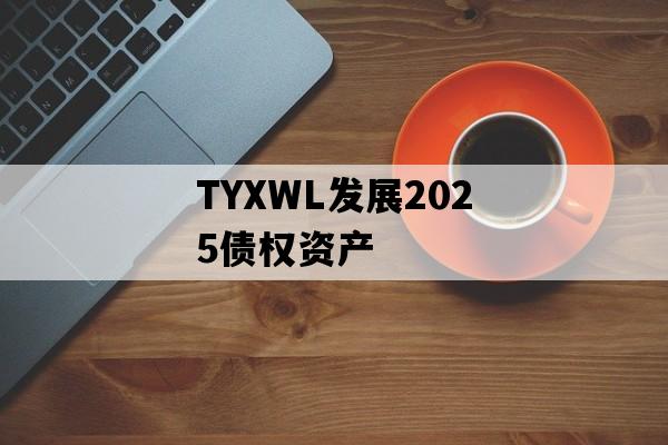 TYXWL发展2025债权资产
