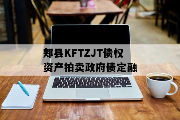 郏县KFTZJT债权资产拍卖政府债定融