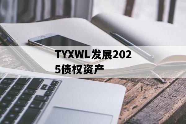 TYXWL发展2025债权资产