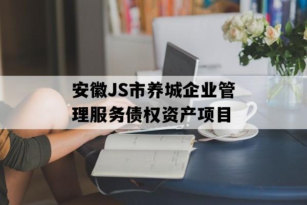 安徽JS市养城企业管理服务债权资产项目