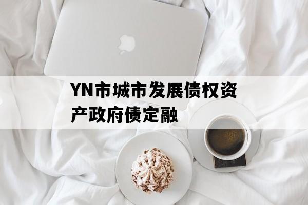 YN市城市发展债权资产政府债定融
