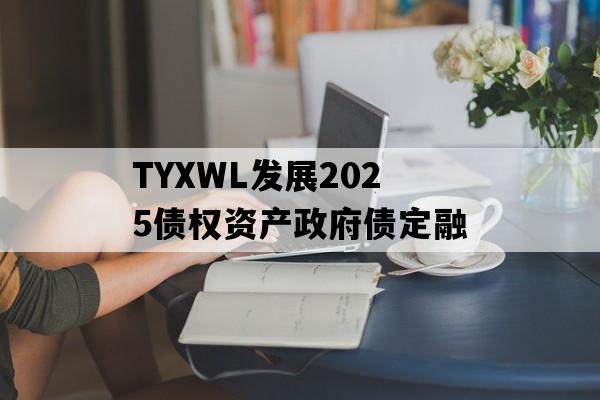 TYXWL发展2025债权资产政府债定融