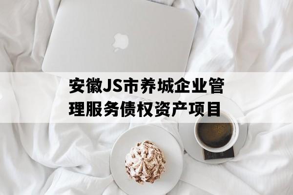 安徽JS市养城企业管理服务债权资产项目