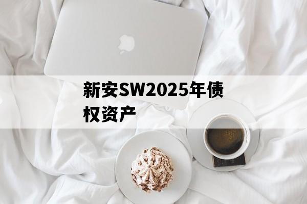 新安SW2025年债权资产
