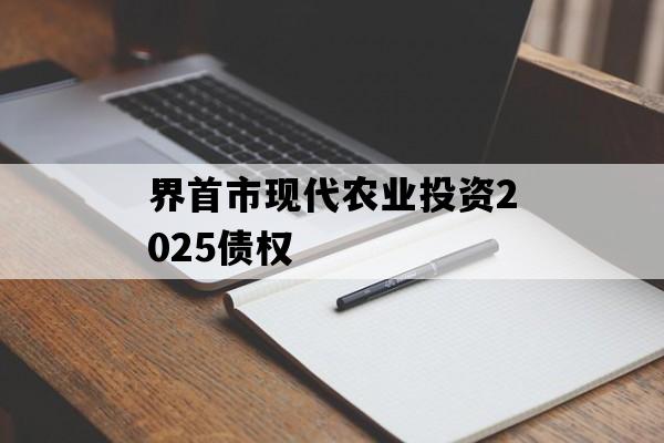 界首市现代农业投资2025债权