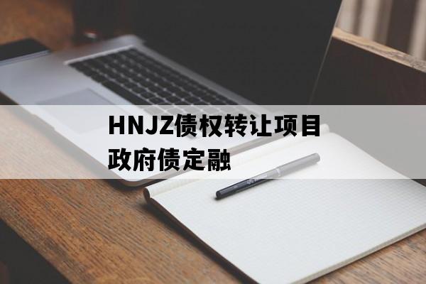HNJZ债权转让项目政府债定融