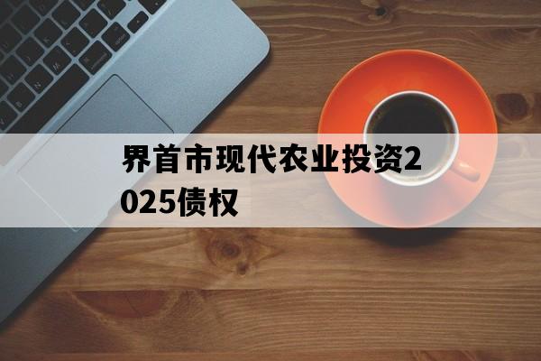 界首市现代农业投资2025债权