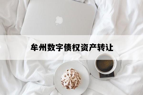 牟州数字债权资产转让