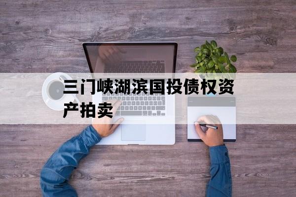 三门峡湖滨国投债权资产拍卖