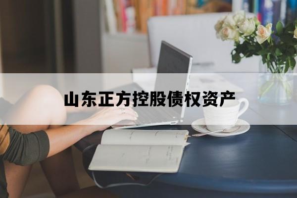 山东正方控股债权资产