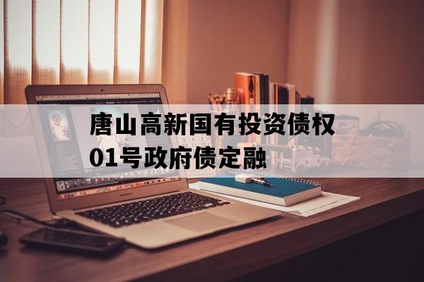 唐山高新国有投资债权01号政府债定融