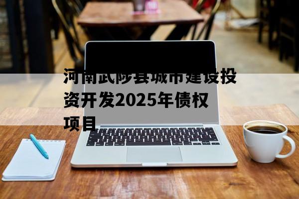 河南武陟县城市建设投资开发2025年债权项目