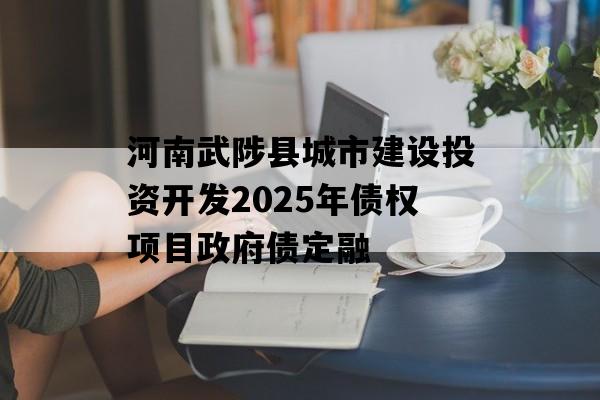 河南武陟县城市建设投资开发2025年债权项目政府债定融