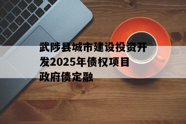 武陟县城市建设投资开发2025年债权项目政府债定融