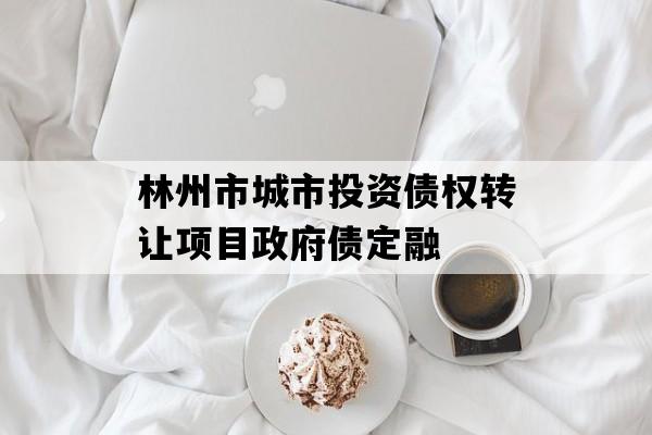 林州市城市投资债权转让项目政府债定融
