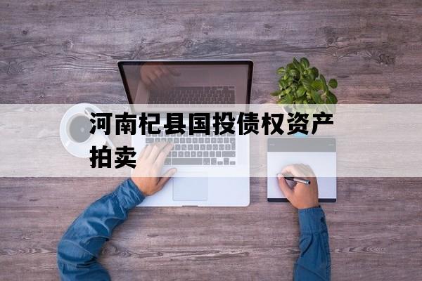 河南杞县国投债权资产拍卖