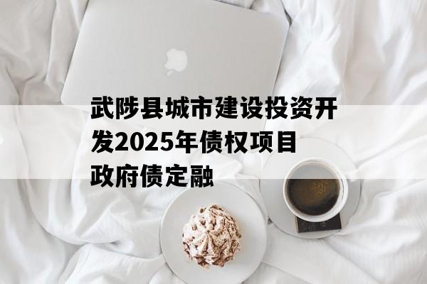 武陟县城市建设投资开发2025年债权项目政府债定融