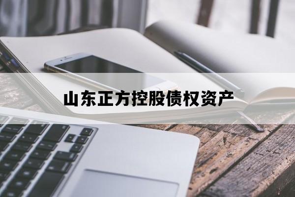 山东正方控股债权资产