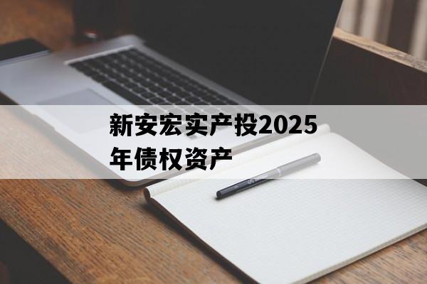 新安宏实产投2025年债权资产
