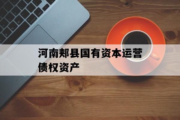 河南郏县国有资本运营债权资产