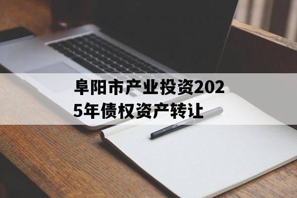 阜阳市产业投资2025年债权资产转让