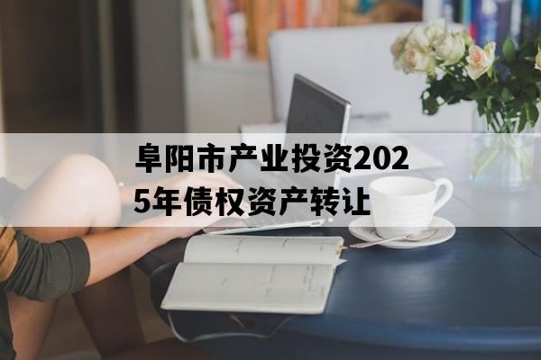 阜阳市产业投资2025年债权资产转让