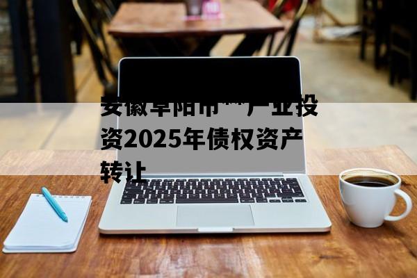 安徽阜阳市**产业投资2025年债权资产转让