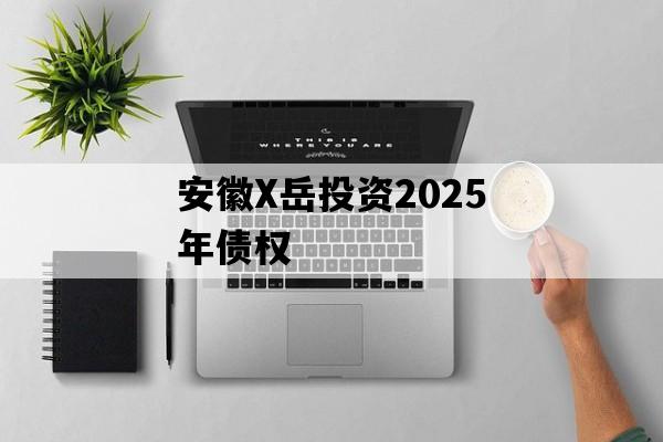 安徽X岳投资2025年债权