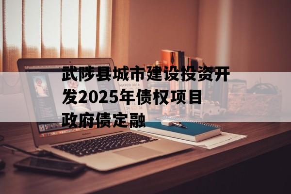 武陟县城市建设投资开发2025年债权项目政府债定融