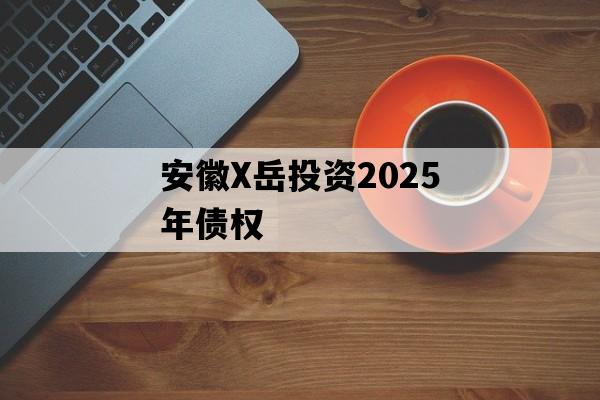 安徽X岳投资2025年债权