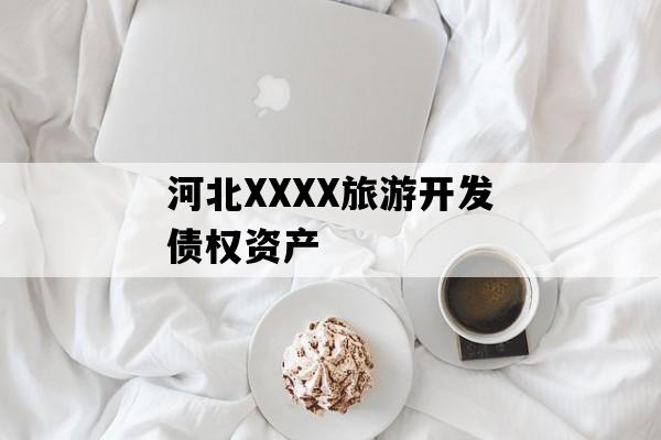 河北XXXX旅游开发债权资产