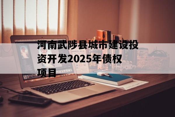 河南武陟县城市建设投资开发2025年债权项目